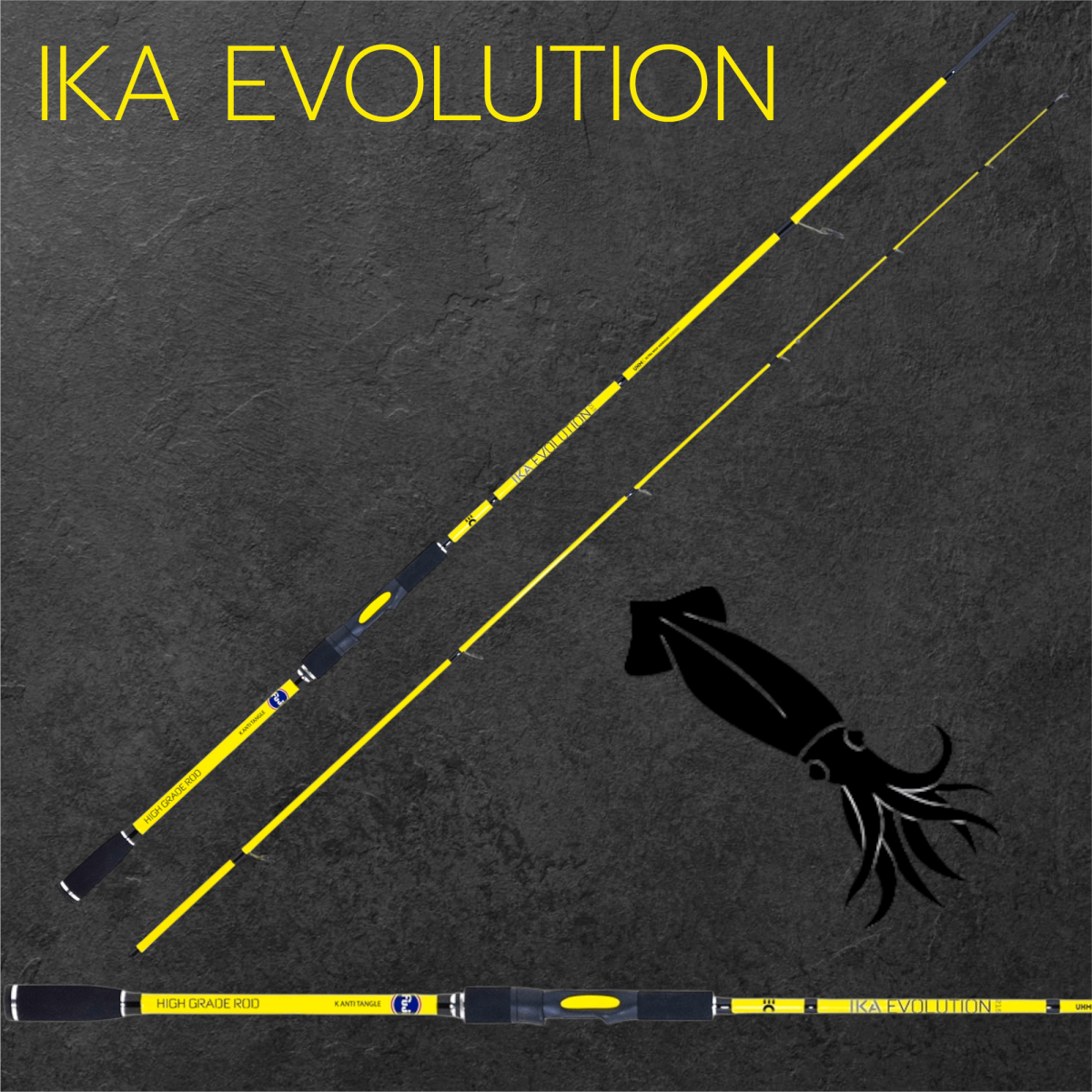 IKA EVOLUTION - Image 2