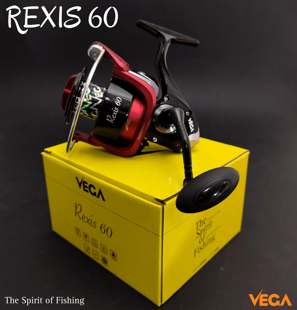 REXIS 60
