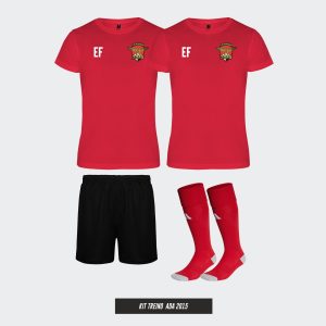 KIT TREINO ADA 2015