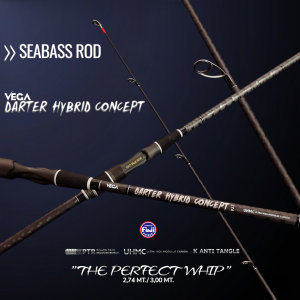 DARTER HYBRID CONCEPT